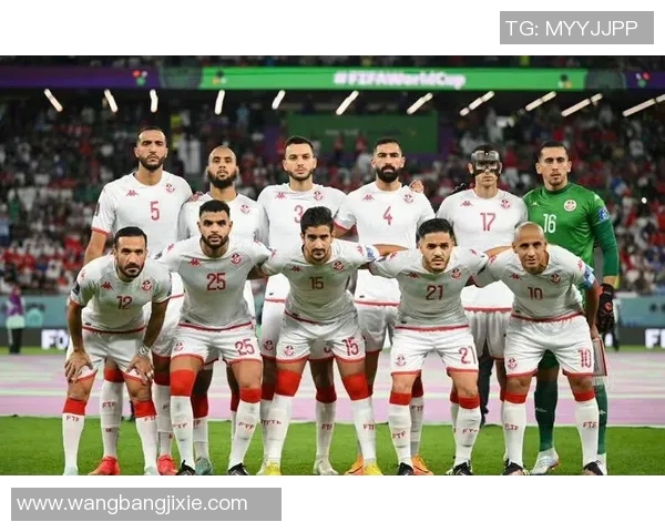 周二009尼日利亚与突尼斯激战在即谁能笑到最后争夺胜利荣耀