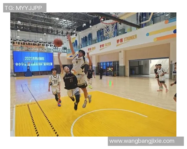 西安篮球队在精英赛中的拼搏历程与荣耀时刻全景回顾