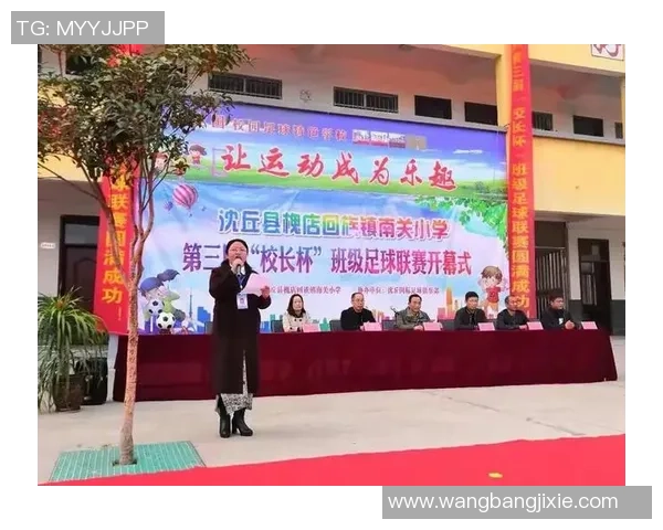 王芳独家揭秘：深入解析足球技巧与战术的心得分享